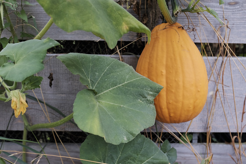 Beginning of Autumn