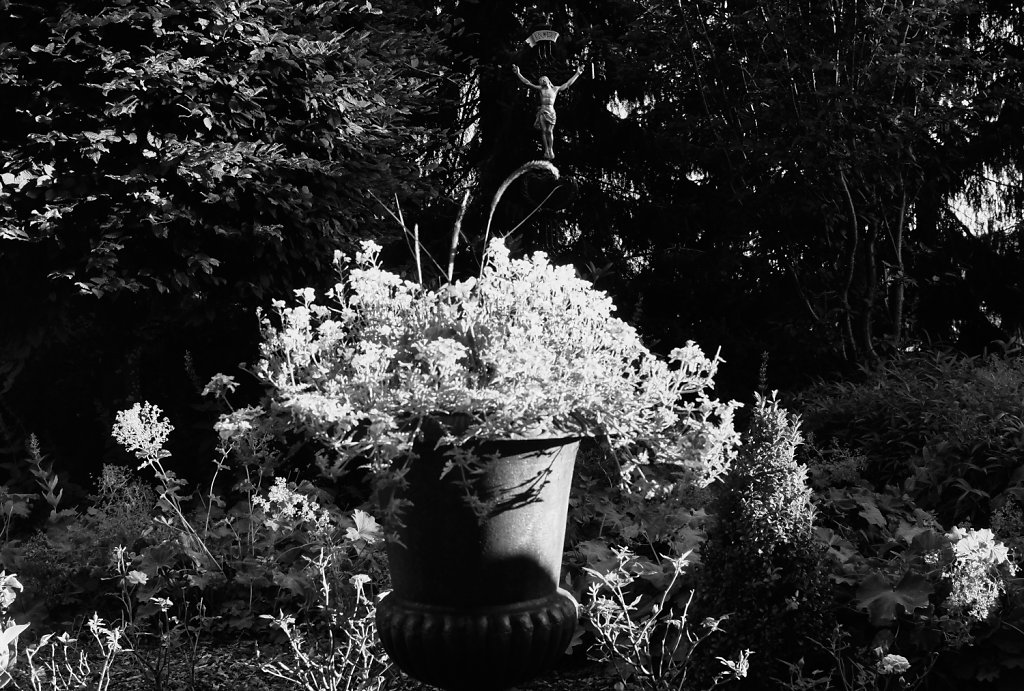 Shadow and Light