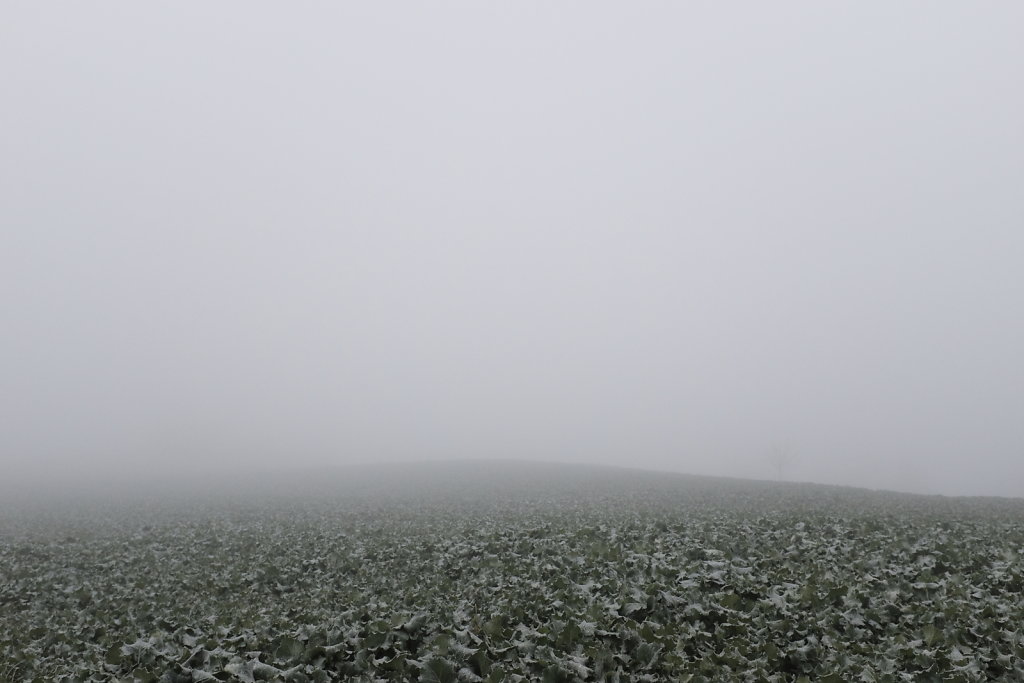 Winter of Our Discontent