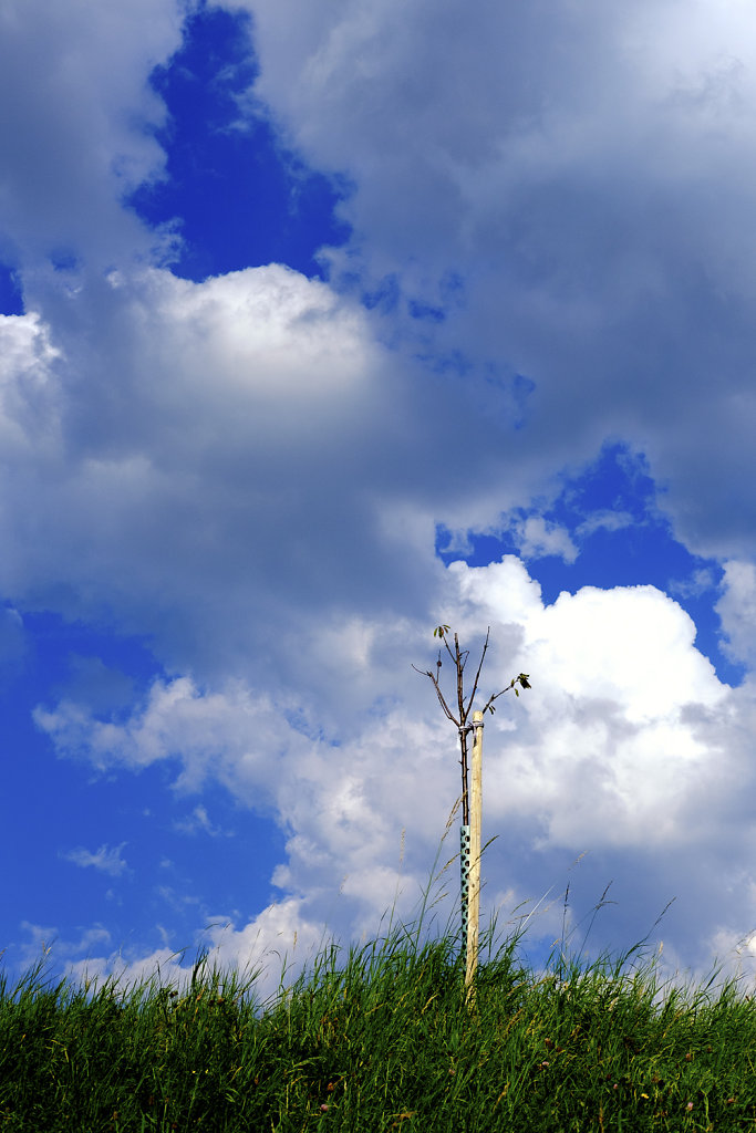 The Sky is the Limit