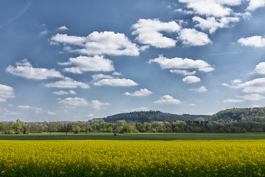Sunday in Spring
